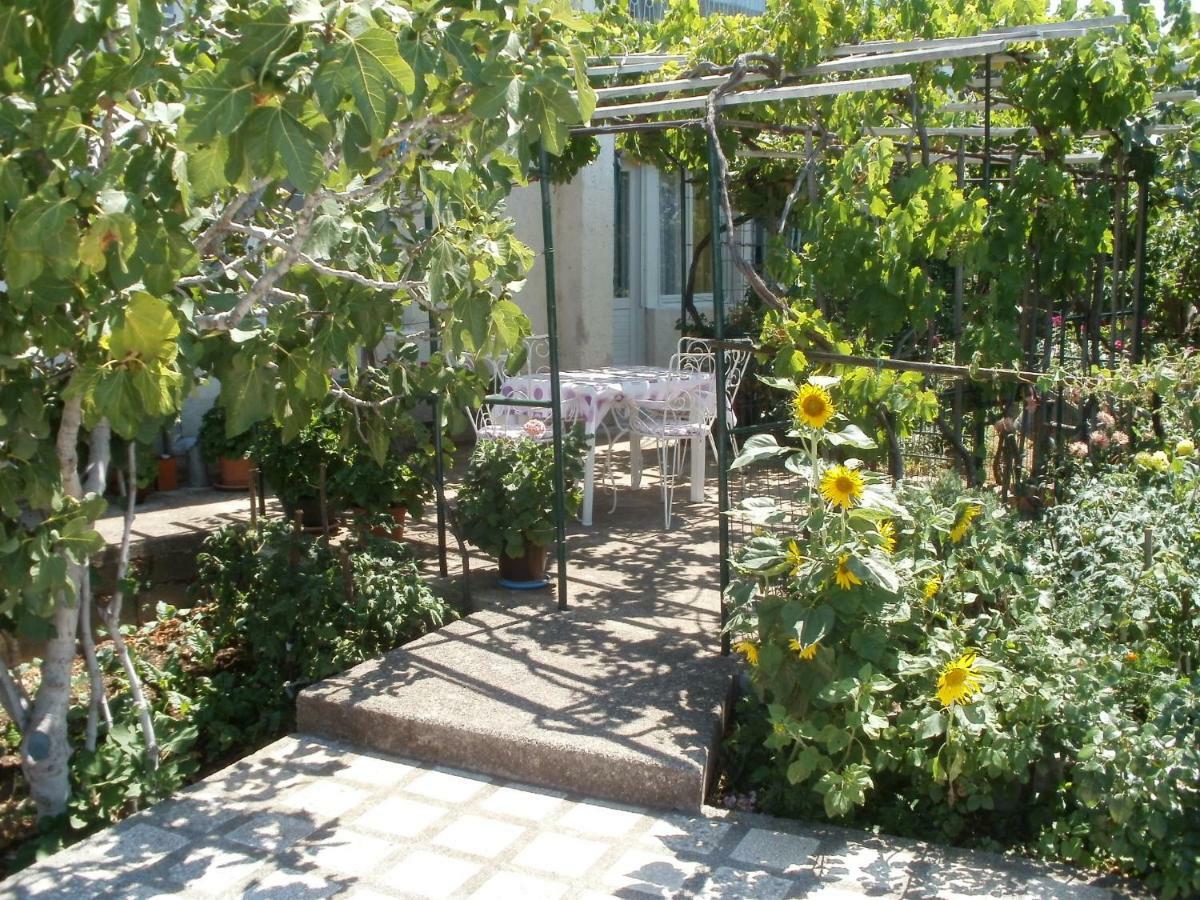 Apartman Marija 센 외부 사진
